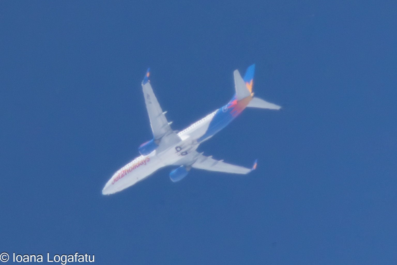 Airborne marvel gliding through a clear sky